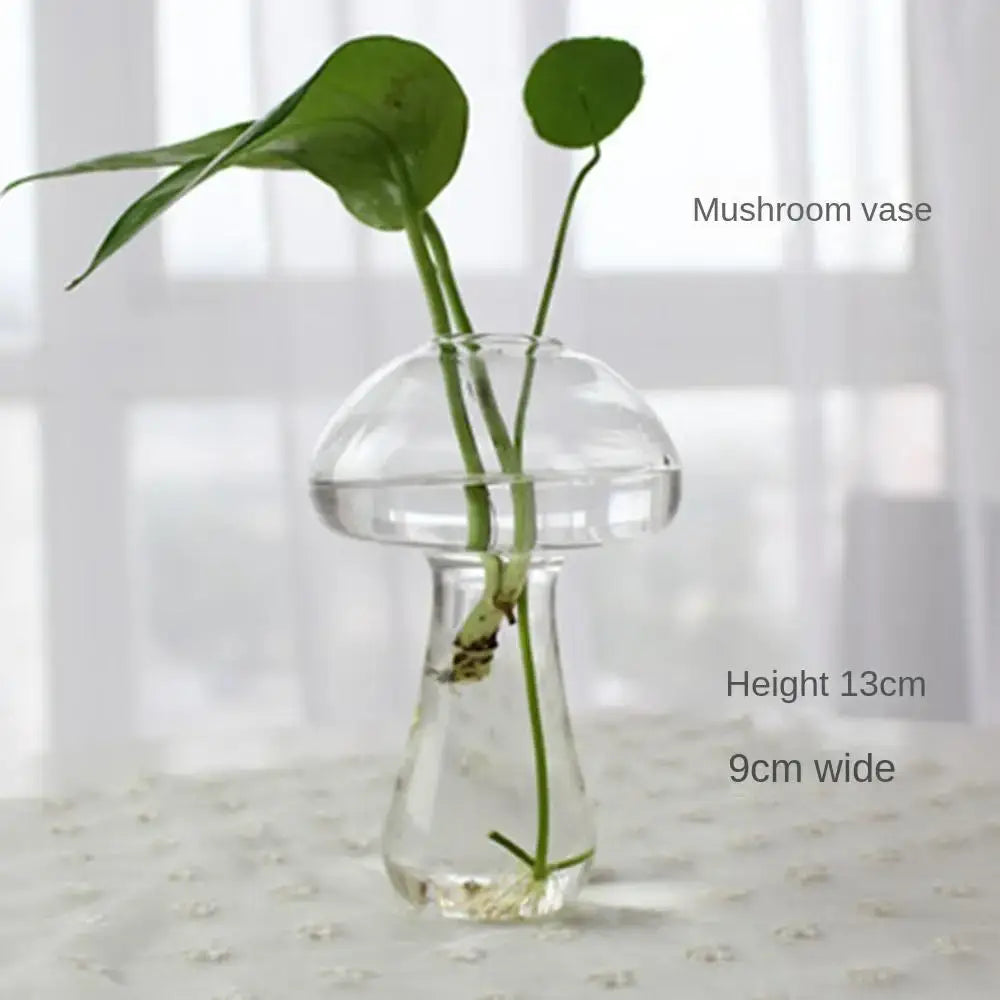 Modern tapered glass vase terrarium – living room decoration