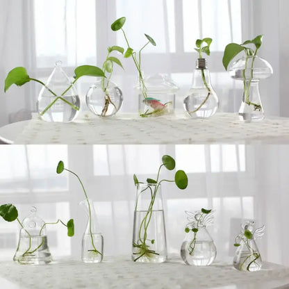 Modern tapered glass vase terrarium – living room decoration