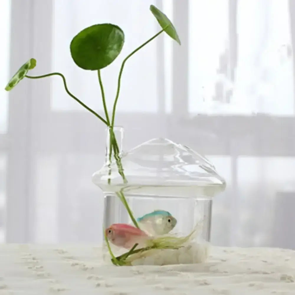 Modern tapered glass vase terrarium – living room decoration
