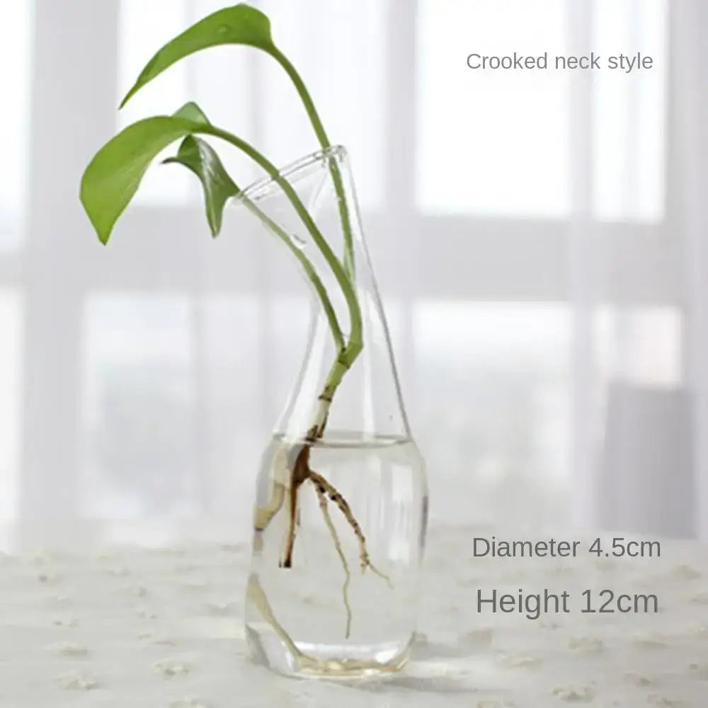 Modern tapered glass vase terrarium – living room decoration