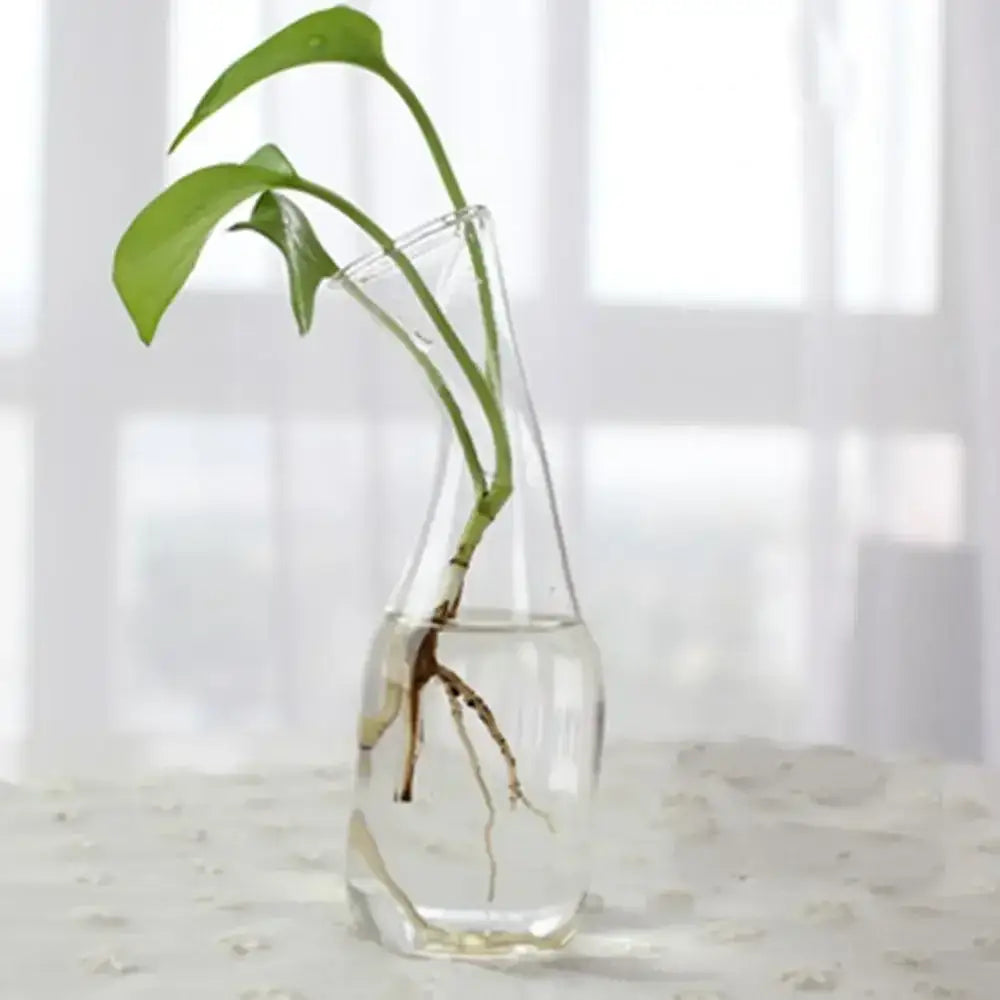 Modern tapered glass vase terrarium – living room decoration