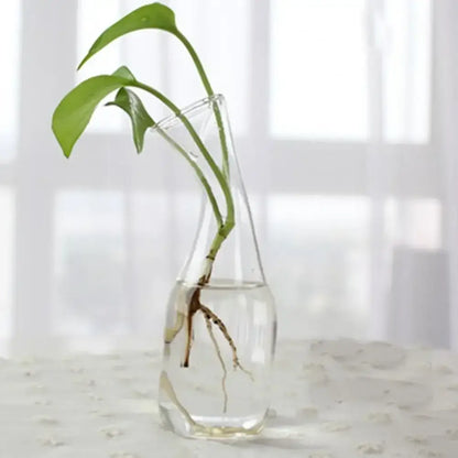 Modern tapered glass vase terrarium – living room decoration