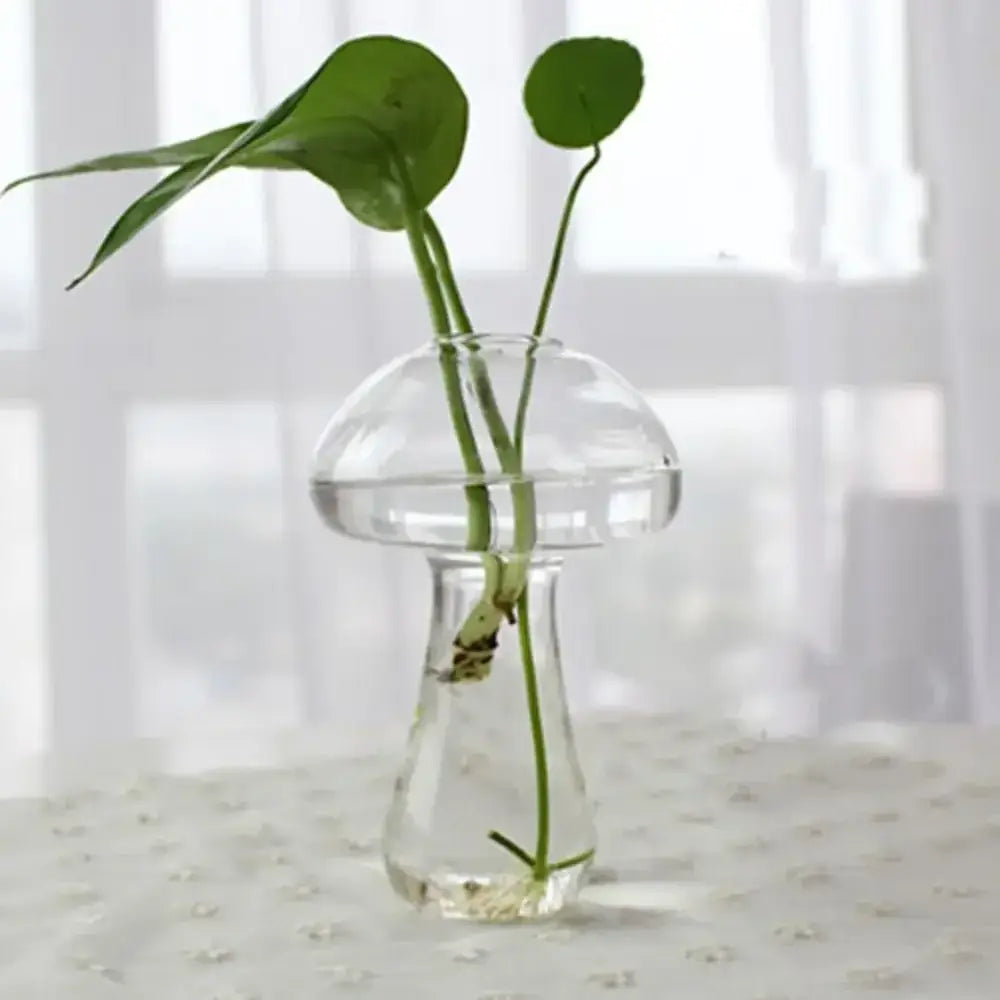 Modern tapered glass vase terrarium – living room decoration