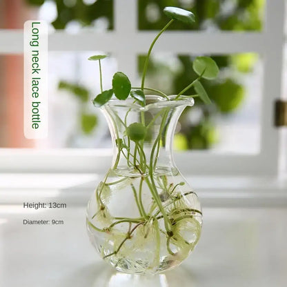 Modern tapered glass vase terrarium – living room decoration
