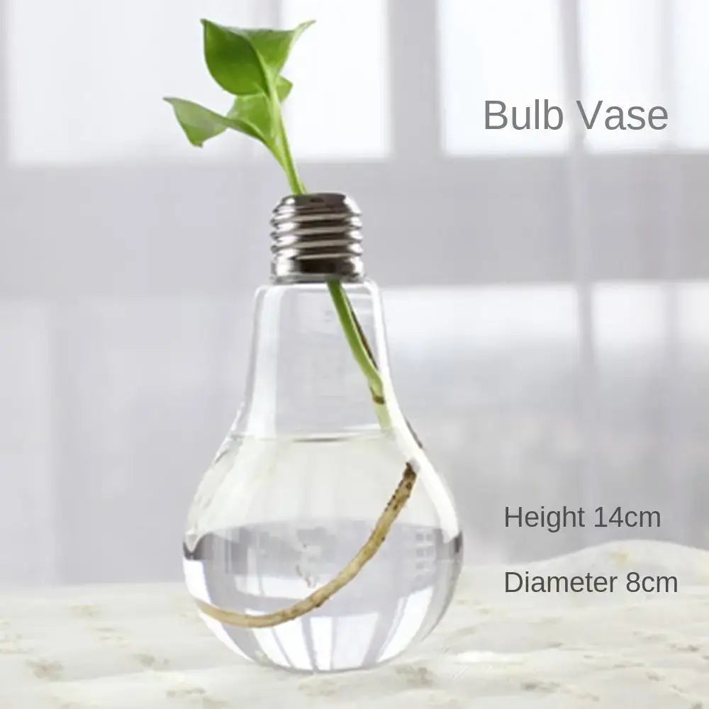 Modern tapered glass vase terrarium – living room decoration