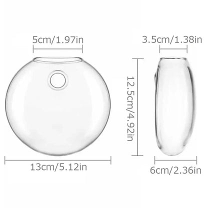 Modern hanging glass vase clear spherical wall planter living room