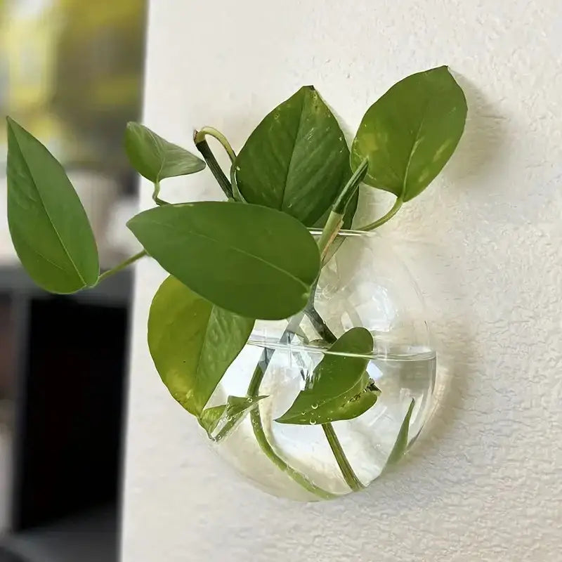 Modern hanging glass vase clear spherical wall planter living room