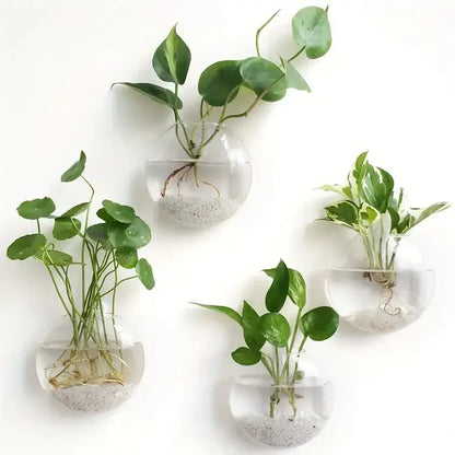 Modern hanging glass vase clear spherical wall planter living room