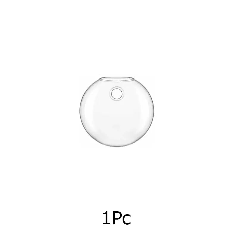 Modern hanging glass vase clear spherical wall planter living room