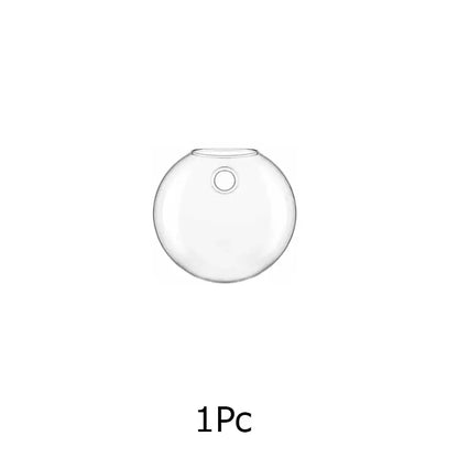Modern hanging glass vase clear spherical wall planter living room