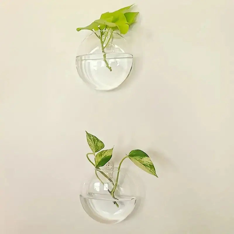 Modern hanging glass vase clear spherical wall planter living room