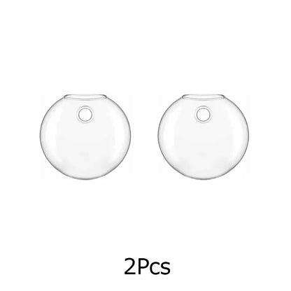 Modern hanging glass vase clear spherical wall planter living room