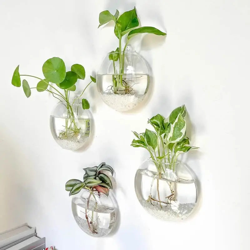 Modern hanging glass vase clear spherical wall planter living room