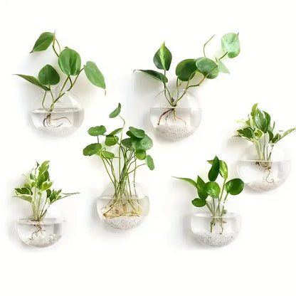 Modern hanging glass vase clear spherical wall planter living room