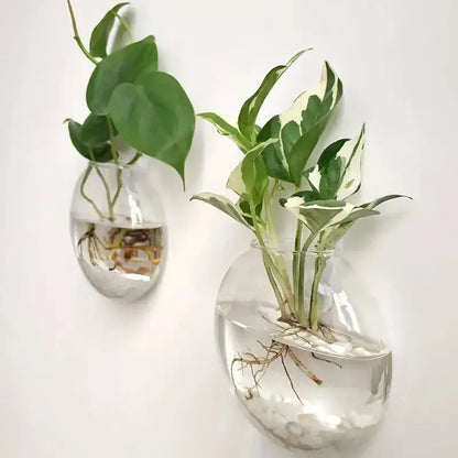 Modern hanging glass vase clear spherical wall planter living room