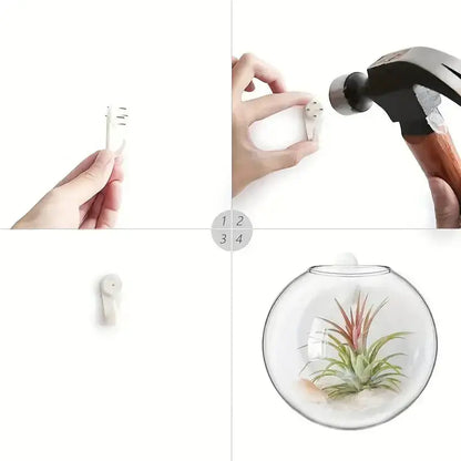 Modern hanging glass vase clear spherical wall planter living room