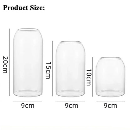 DecorBites™ Modern Hydroponic Glass Flower Vase for Home & Wedding
