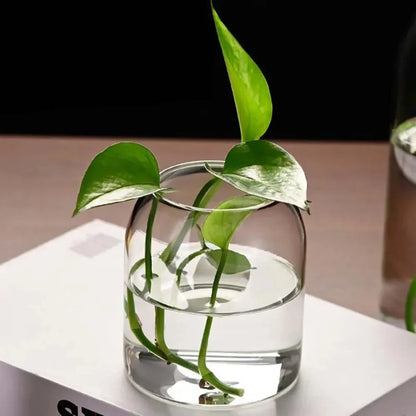 DecorBites™ Modern Hydroponic Glass Flower Vase for Home & Wedding