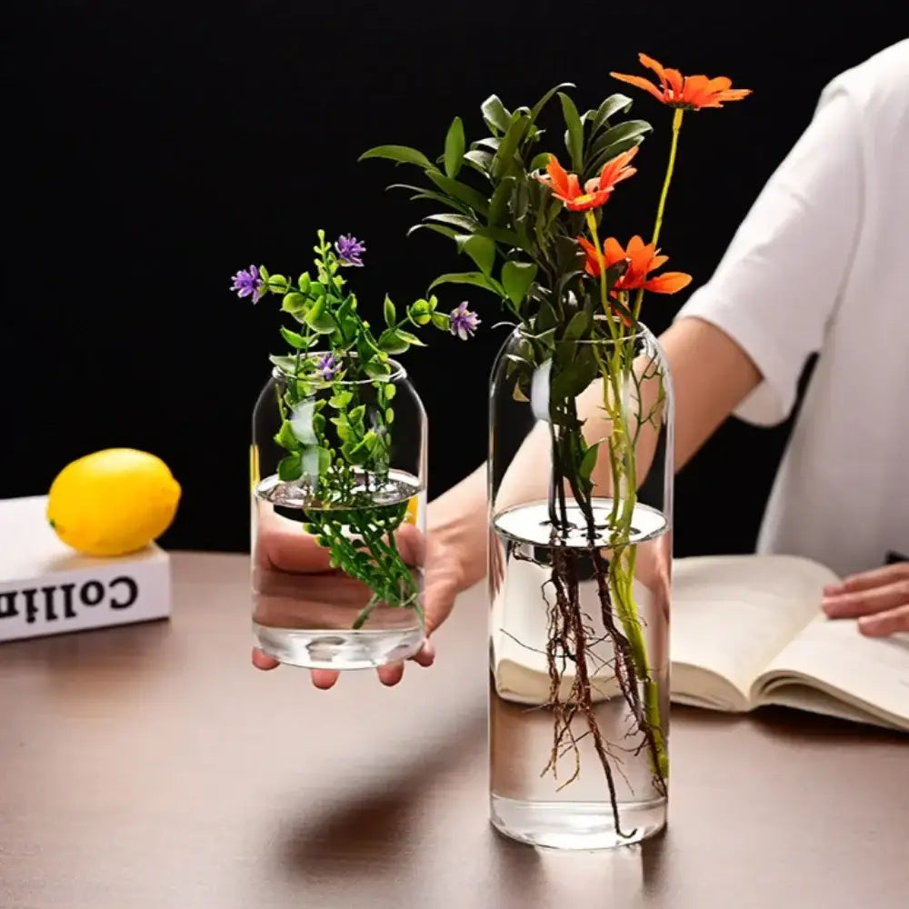Modern hydroponic plant glass flower vase for living room decor