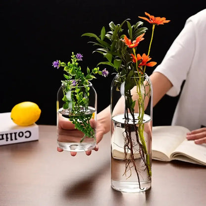 Modern hydroponic plant glass flower vase for living room decor