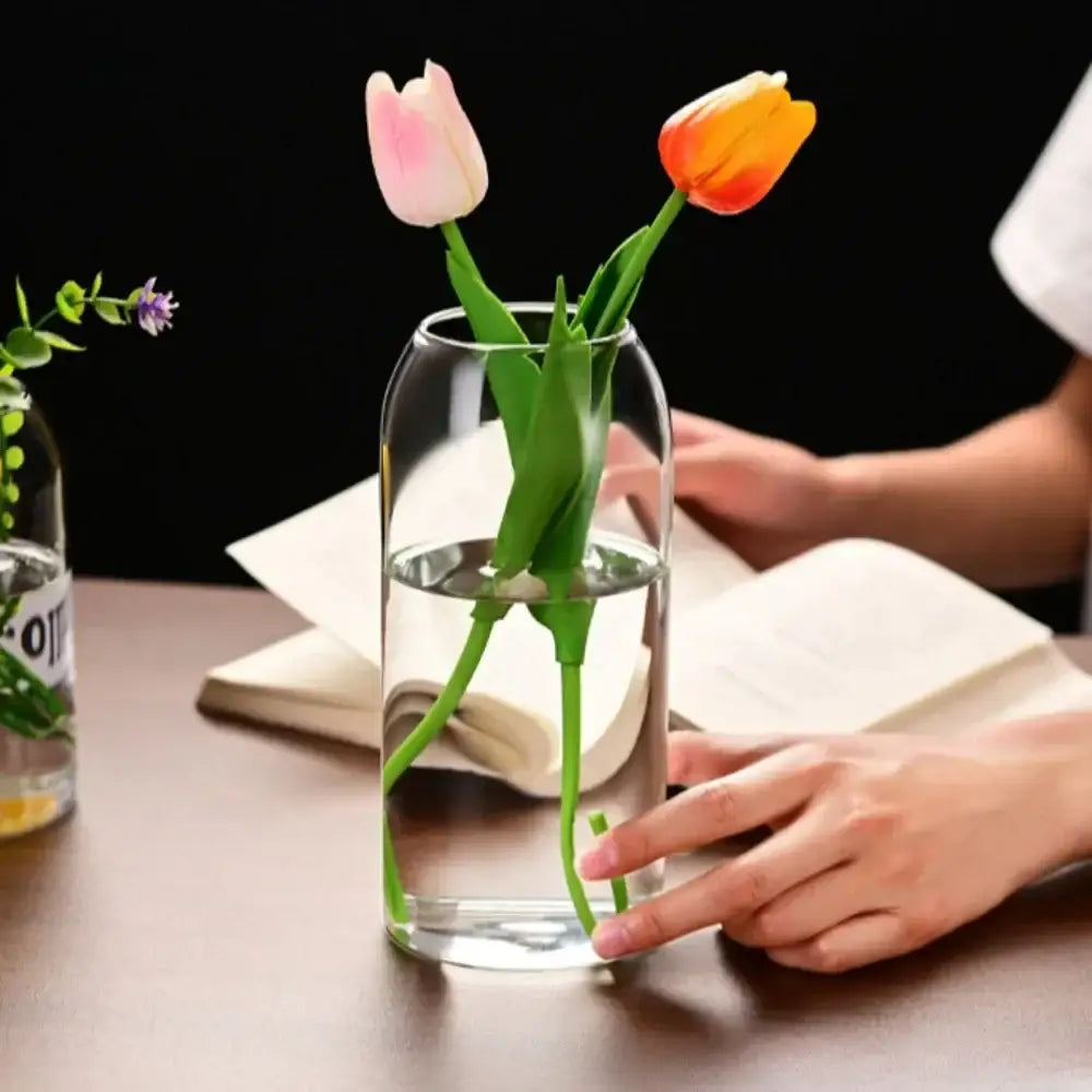 Modern hydroponic plant glass flower vase for living room decor