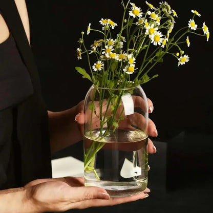 Modern hydroponic plant glass flower vase for living room decor