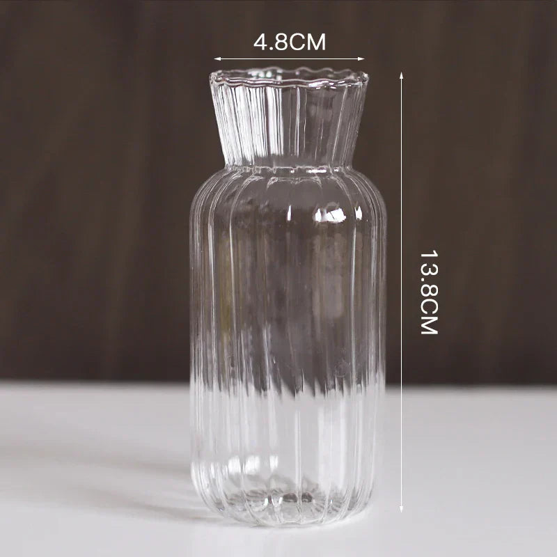 DecorBites™ Modern Nordic Glass Vases Set for Home and Wedding