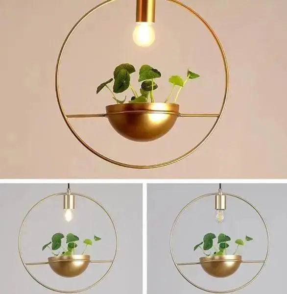 Modern nordic gold planter light dining room pendant