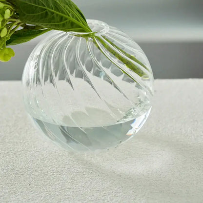 Modern ribbed transparent glass vases living room decorate root