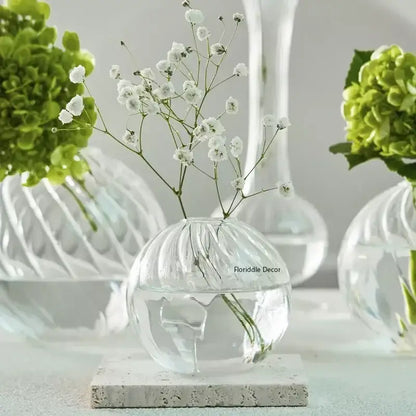 Modern ribbed transparent glass vases living room decorate root