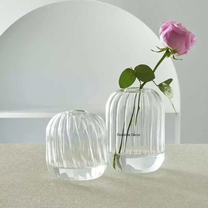 Modern ribbed transparent glass vases living room decorate root
