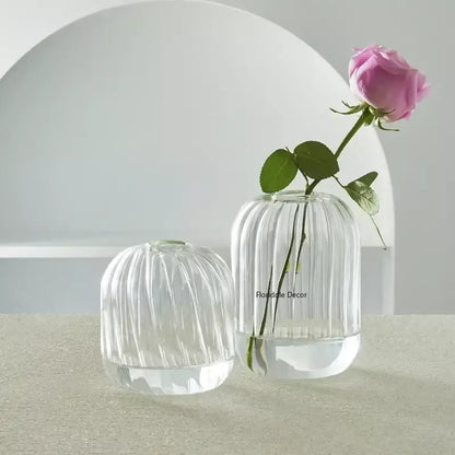 Modern ribbed transparent glass vases living room decorate root