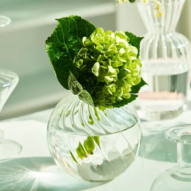Modern ribbed transparent glass vases living room decorate root