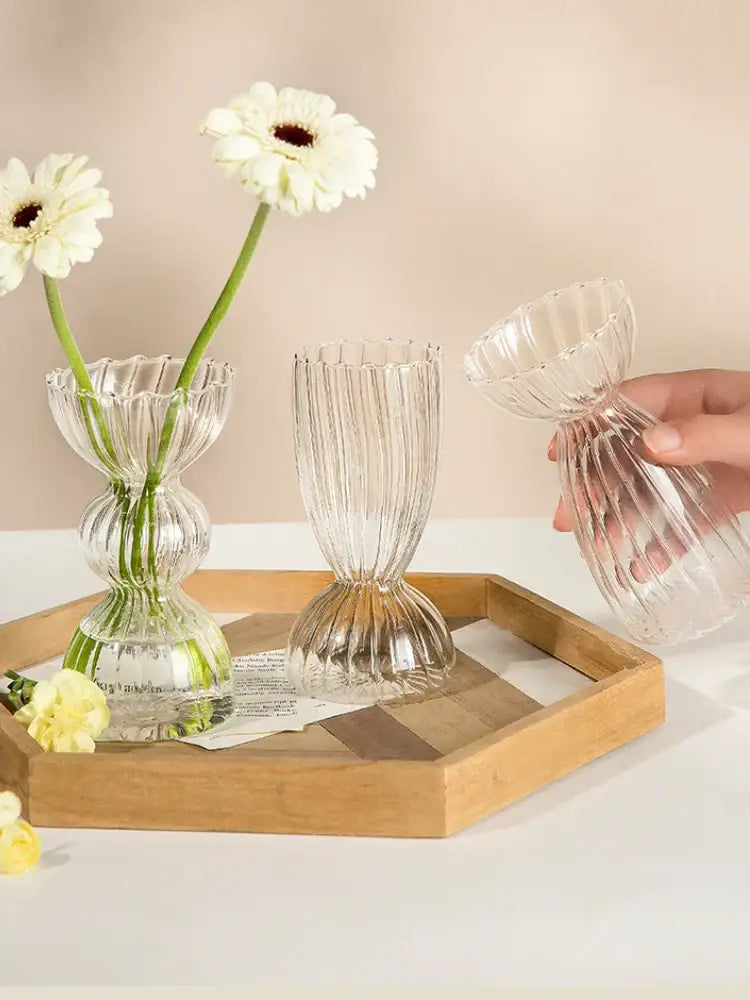 Modern ribbed transparent glass vases living room decorate root