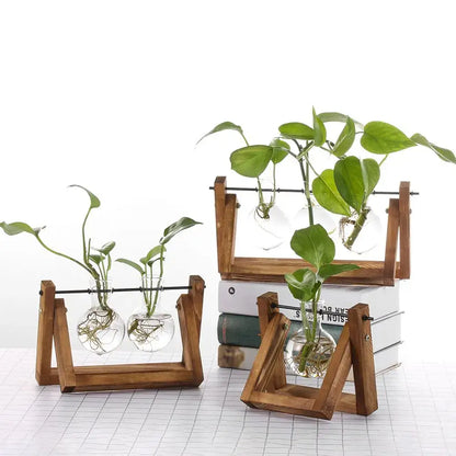 Modern wooden frame glass vase set of 5 living room terrarium