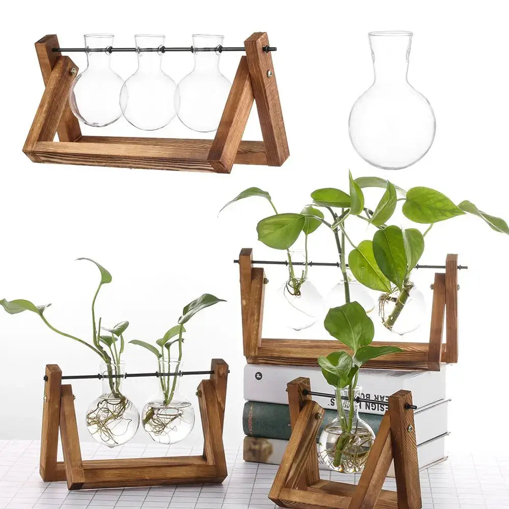 Modern wooden frame glass vase set of 5 living room terrarium