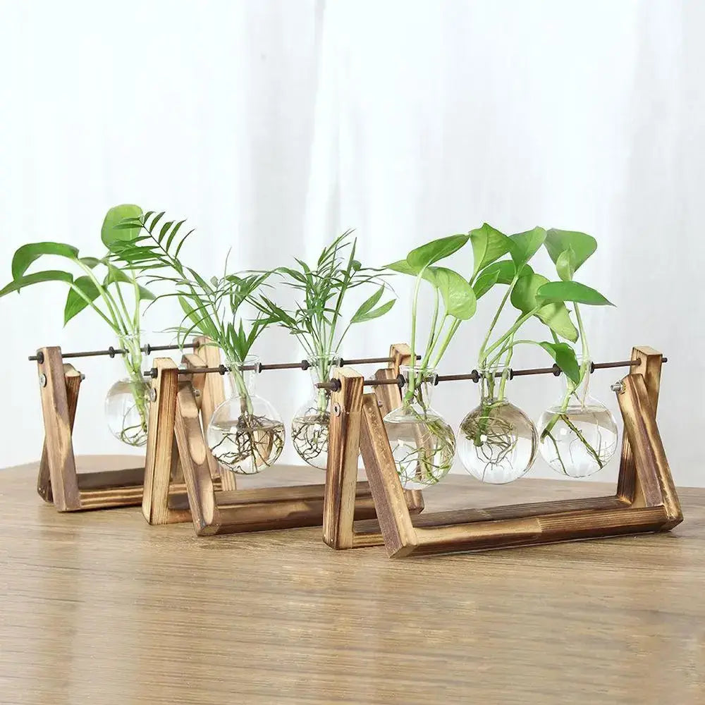 Modern wooden frame glass vase set of 5 living room terrarium