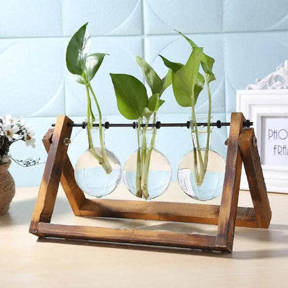 Modern wooden frame glass vase set of 5 living room terrarium