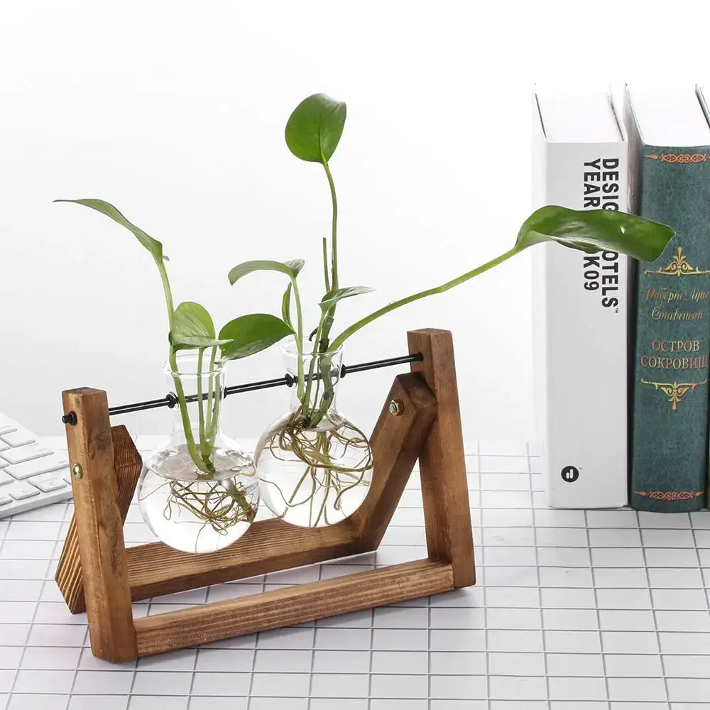 Modern wooden frame glass vase set of 5 living room terrarium