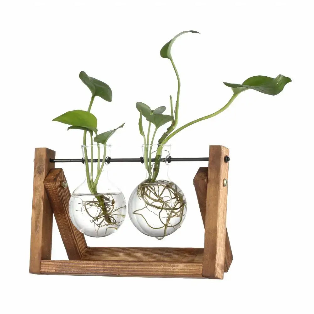 Modern wooden frame glass vase set of 5 living room terrarium