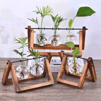Modern wooden frame glass vase set of 5 living room terrarium