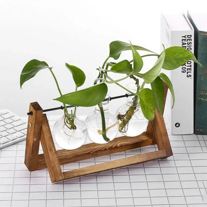 Modern wooden frame glass vase set of 5 living room terrarium