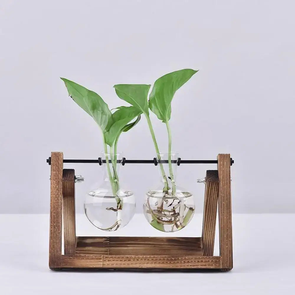 Modern wooden frame glass vase set of 5 living room terrarium