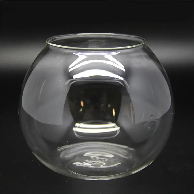 Modern moss ball glass vase desktop terrarium office decor