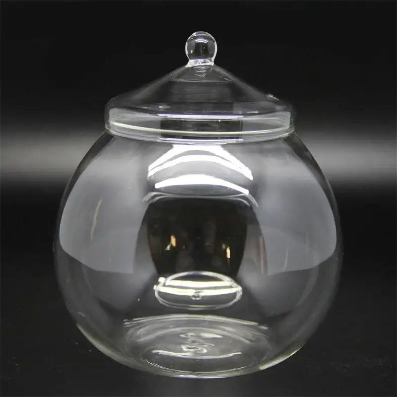 Modern moss ball glass vase desktop terrarium office decor