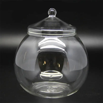 Modern moss ball glass vase desktop terrarium office decor