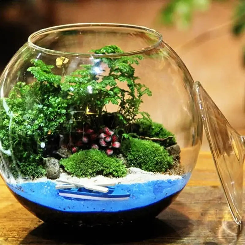 Modern moss ball glass vase desktop terrarium office decor