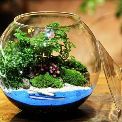 Modern moss ball glass vase desktop terrarium office decor