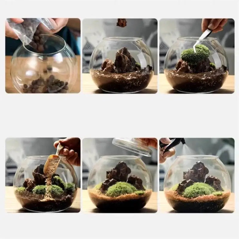 Modern moss ball glass vase desktop terrarium office decor