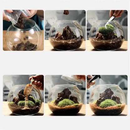 Modern moss ball glass vase desktop terrarium office decor